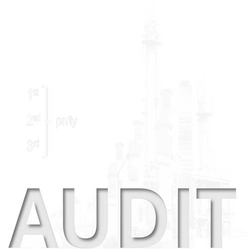ISO auditors performing quality management system audit